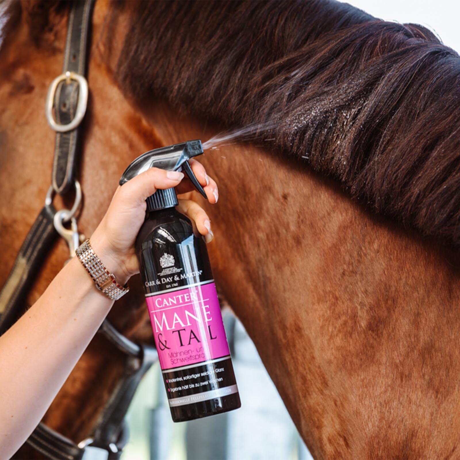 Canter Mane & Tail Conditioner