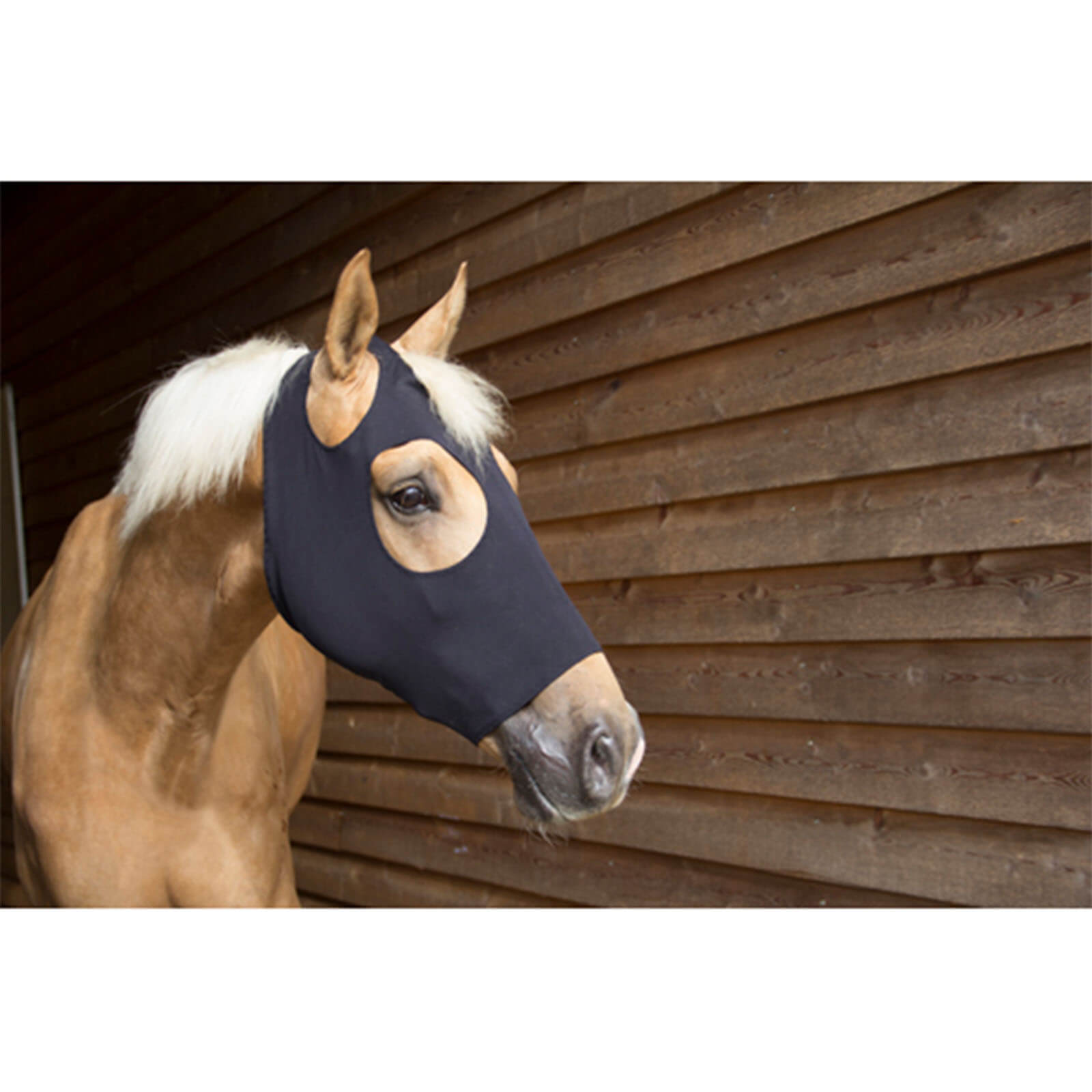 Maske FIR-Tech therapeutische Maske, Schwarz, Pferd trägt die Maske im Stall.