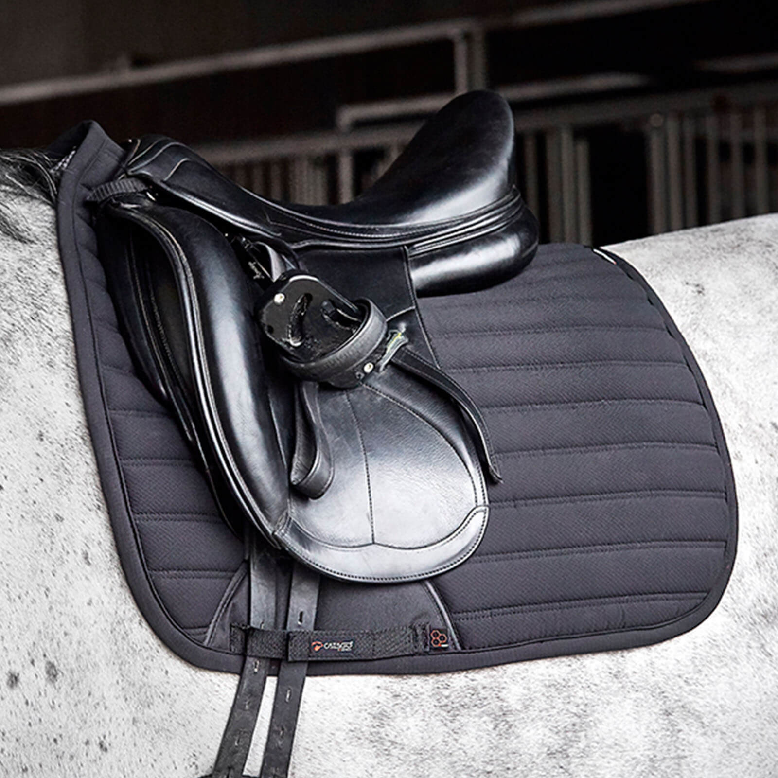 Schabracke Dressur Hybrid Dressurschabracke