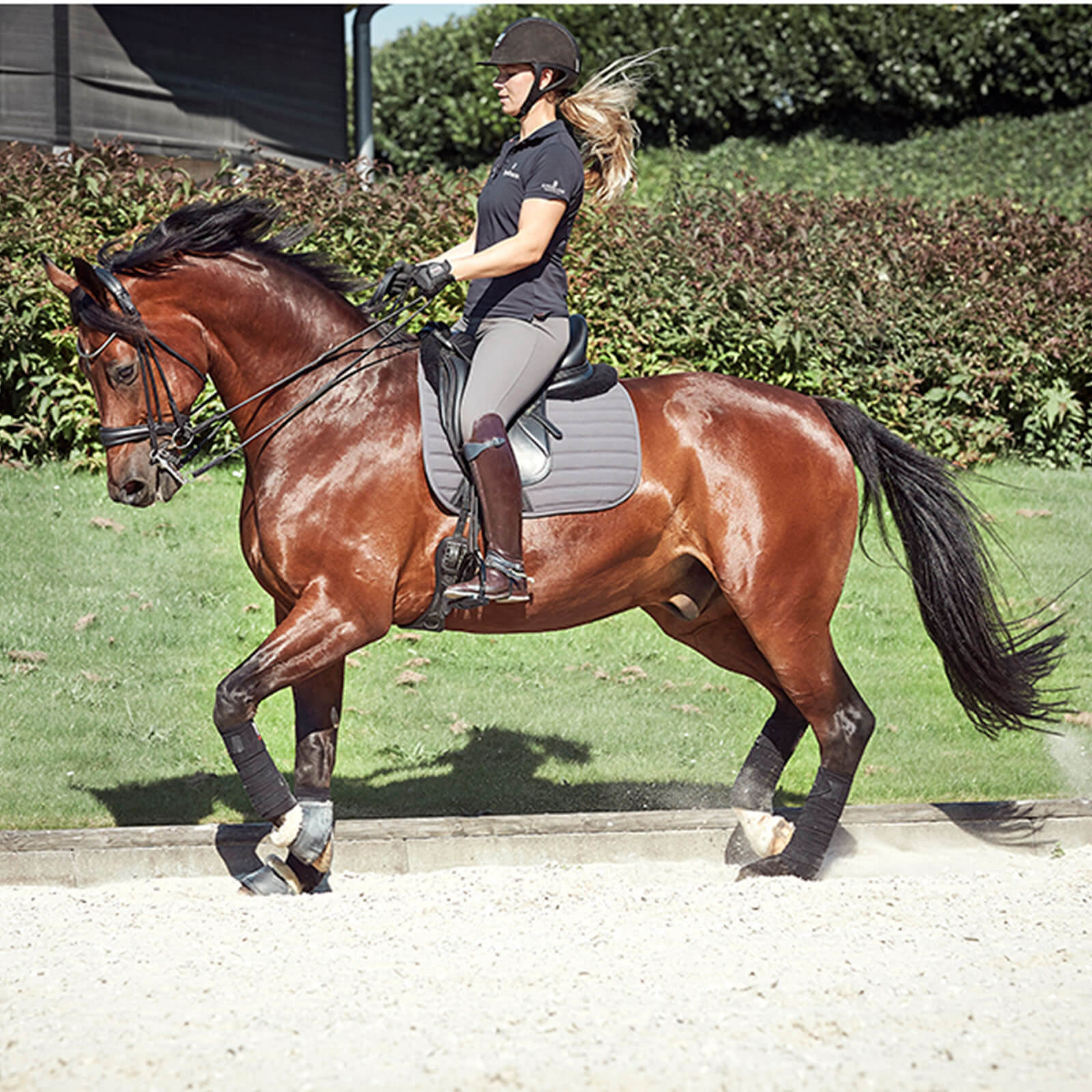 Schabracke Dressur Hybrid Dressurschabracke