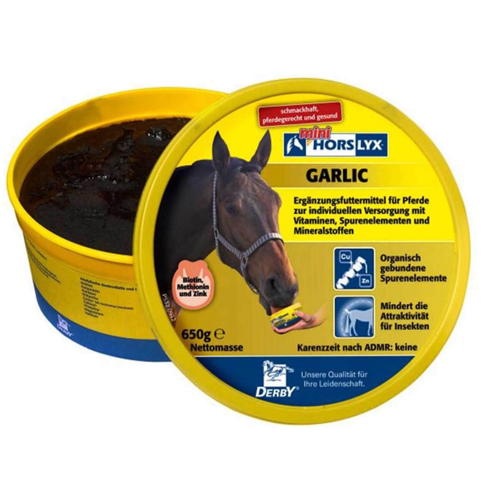 Leckstein Horslyx Garlic