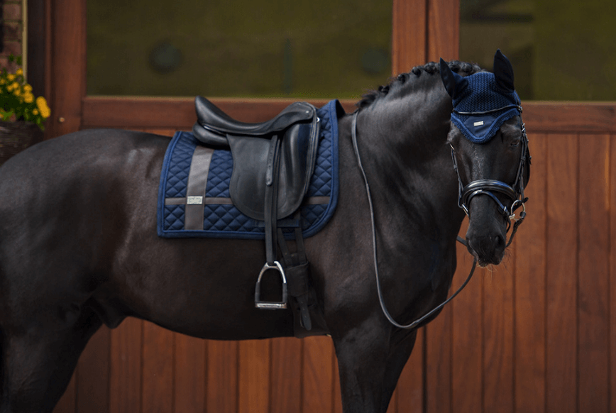 Dressurschabracke Leather Deluxe Silver, Dunkelblau, Pferd mit Sattel und Trense vor Holzwand.