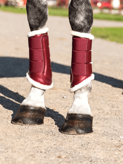 Gamaschen Bordeaux Beinschutz