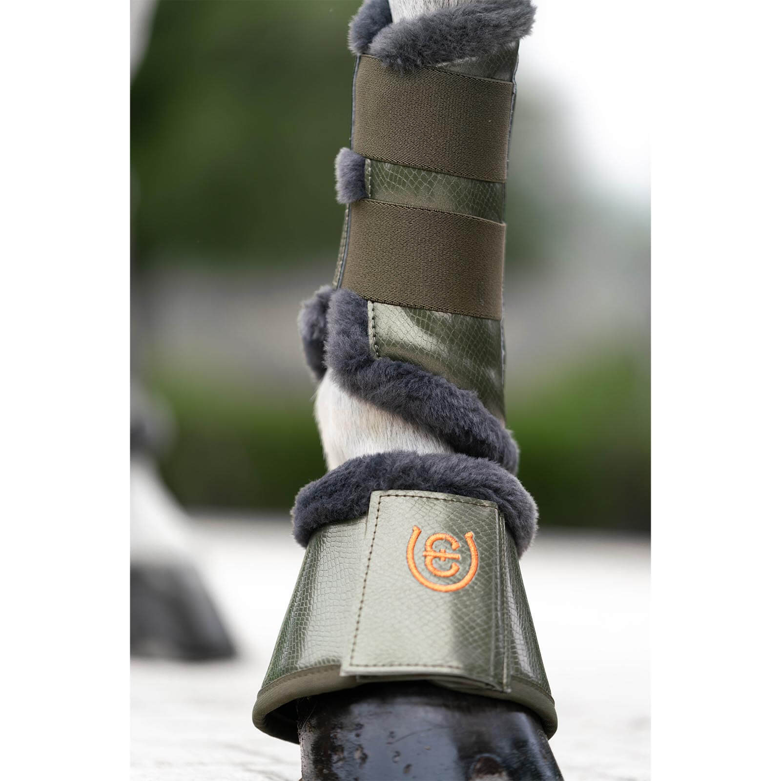 Hufglocken Evening Haze FS 2022
