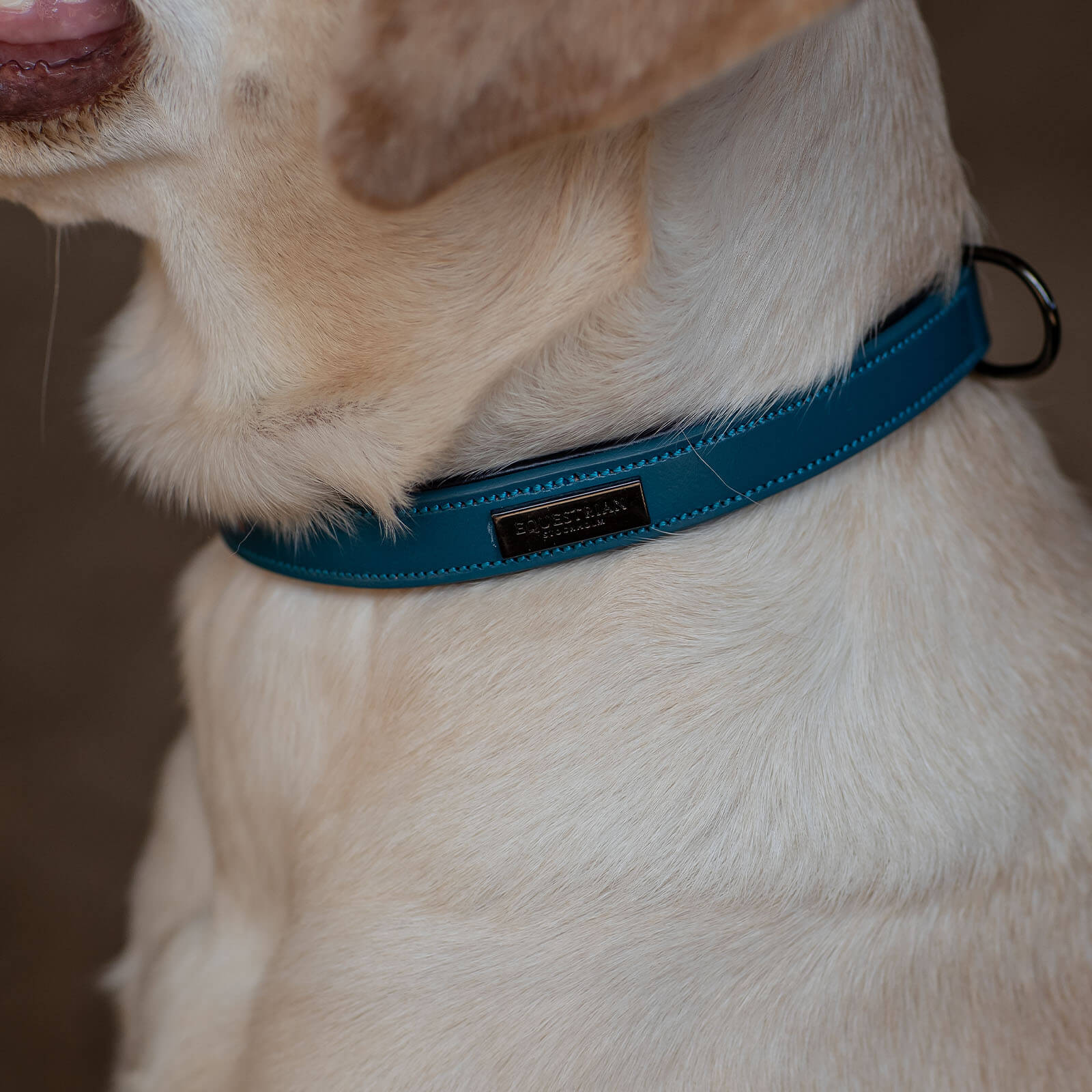 Hundehalsband Aurora Blues HW 2022 Lederhalsband
