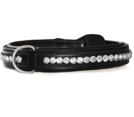 Hundehalsband Black Edition