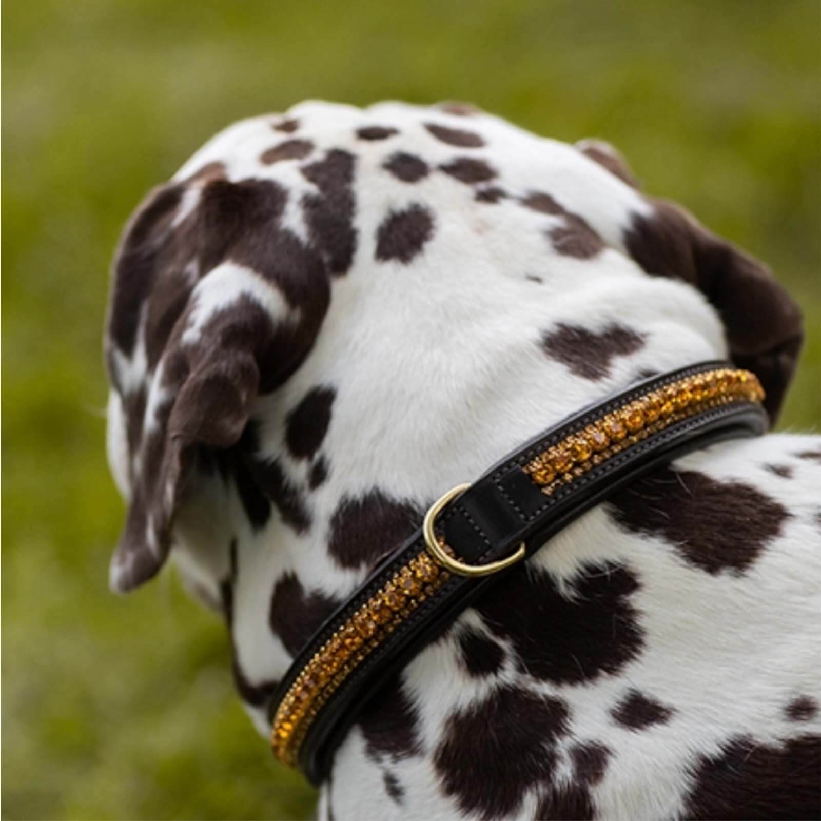 Hundehalsband Bronze Gold FS 2022 Kristallhalsband