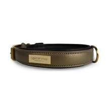 Black/Gold