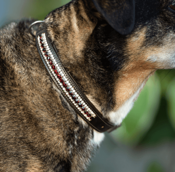 Hundehalsband Strasssteine Bordeaux Crystal