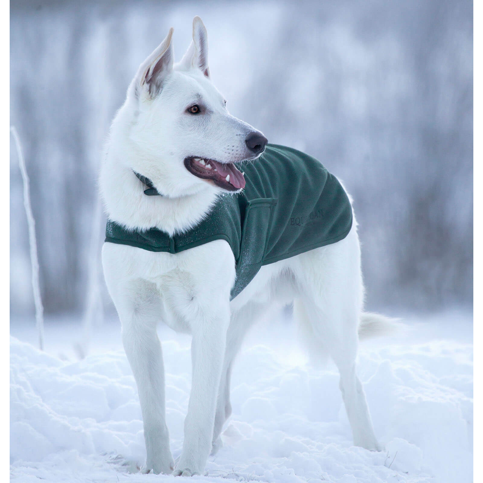 Hundemantel Sycamore Green Fleecemantel