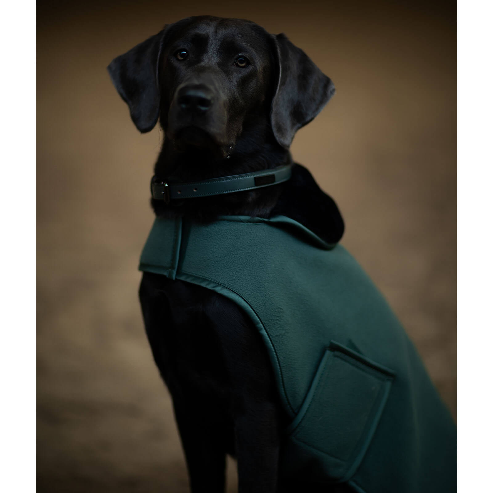 Hundemantel Sycamore Green Fleecemantel