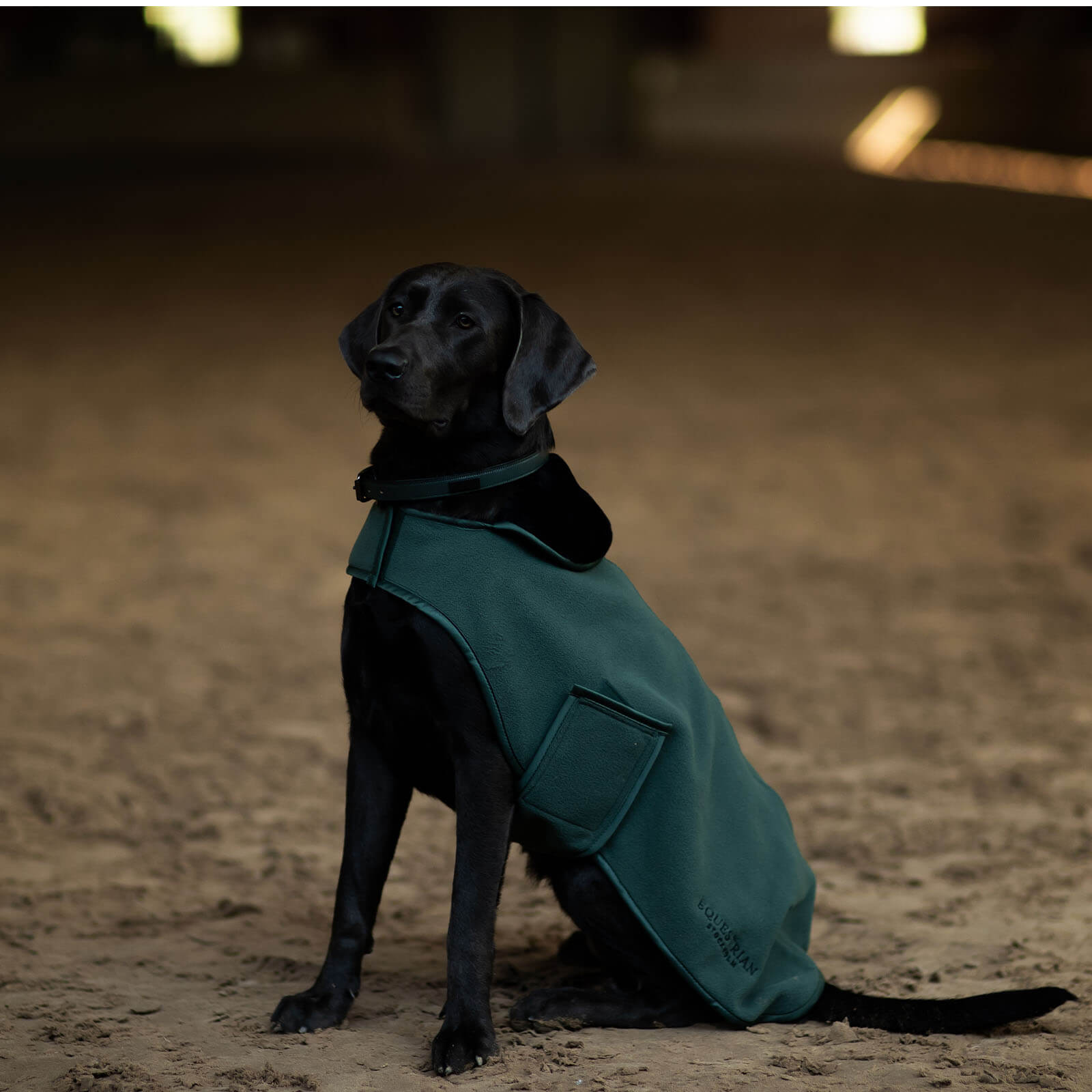 Hundemantel Sycamore Green Fleecemantel