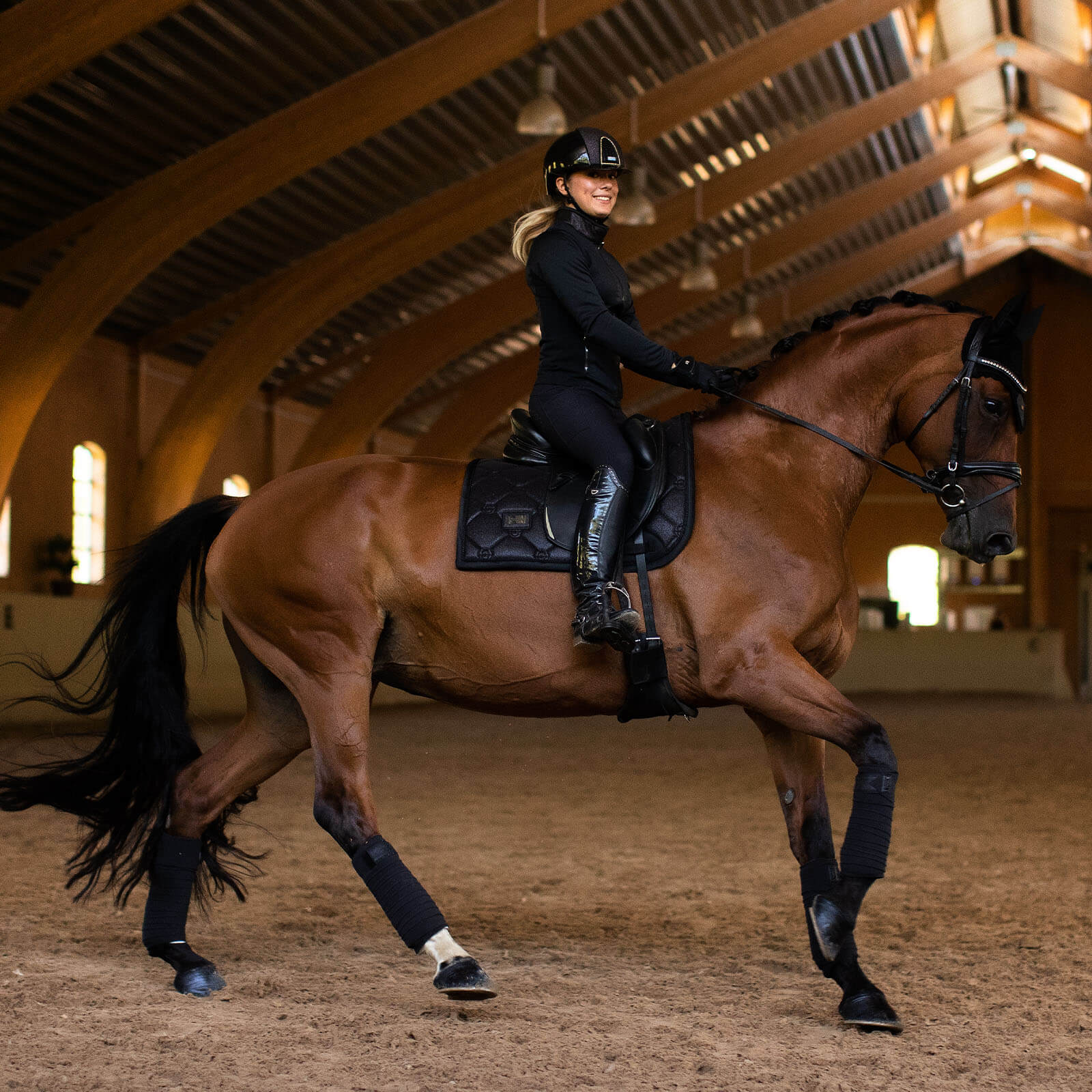 Dressurschabracke All Black Glimmer Schabracke