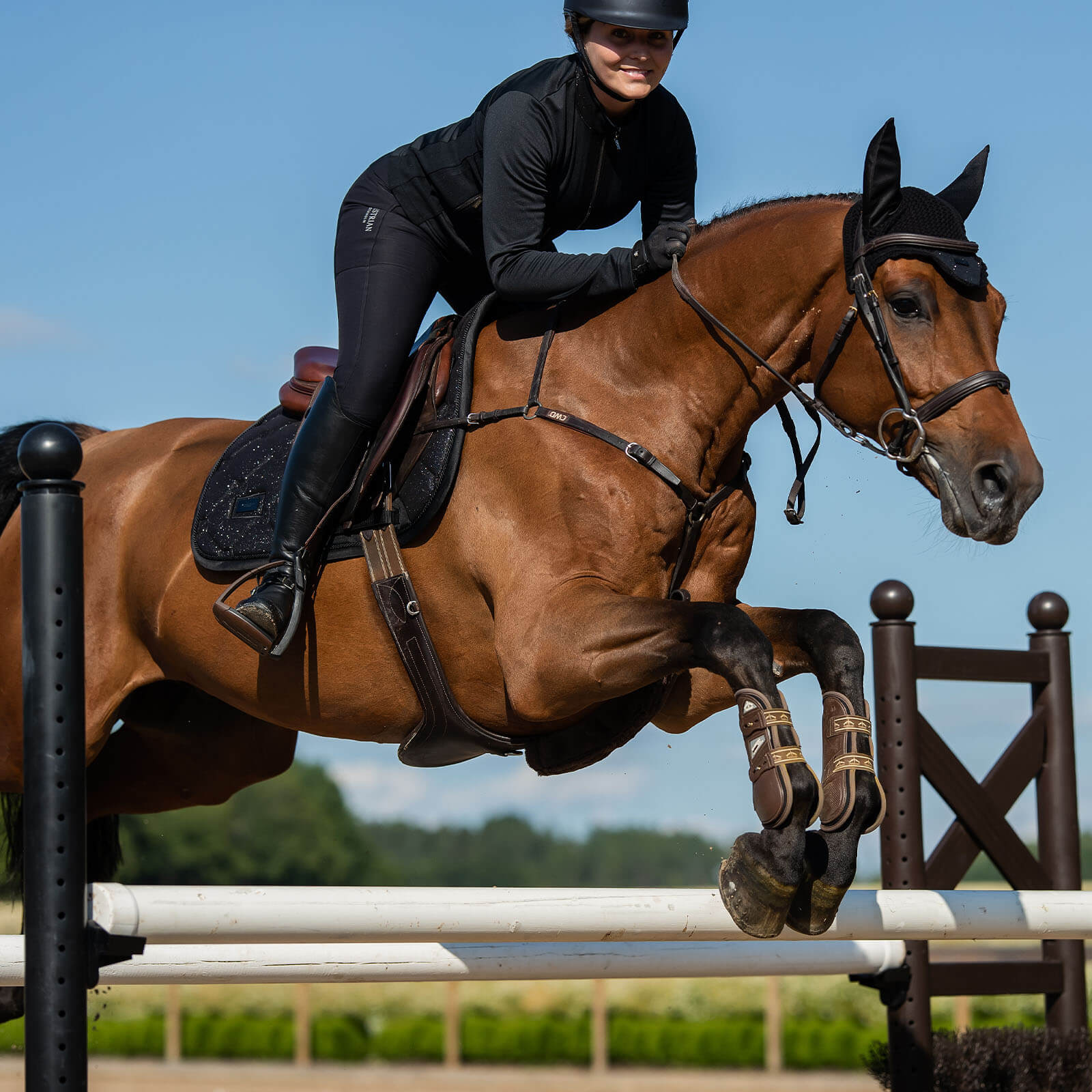 Springschabracke All Black Glimmer Schabracke
