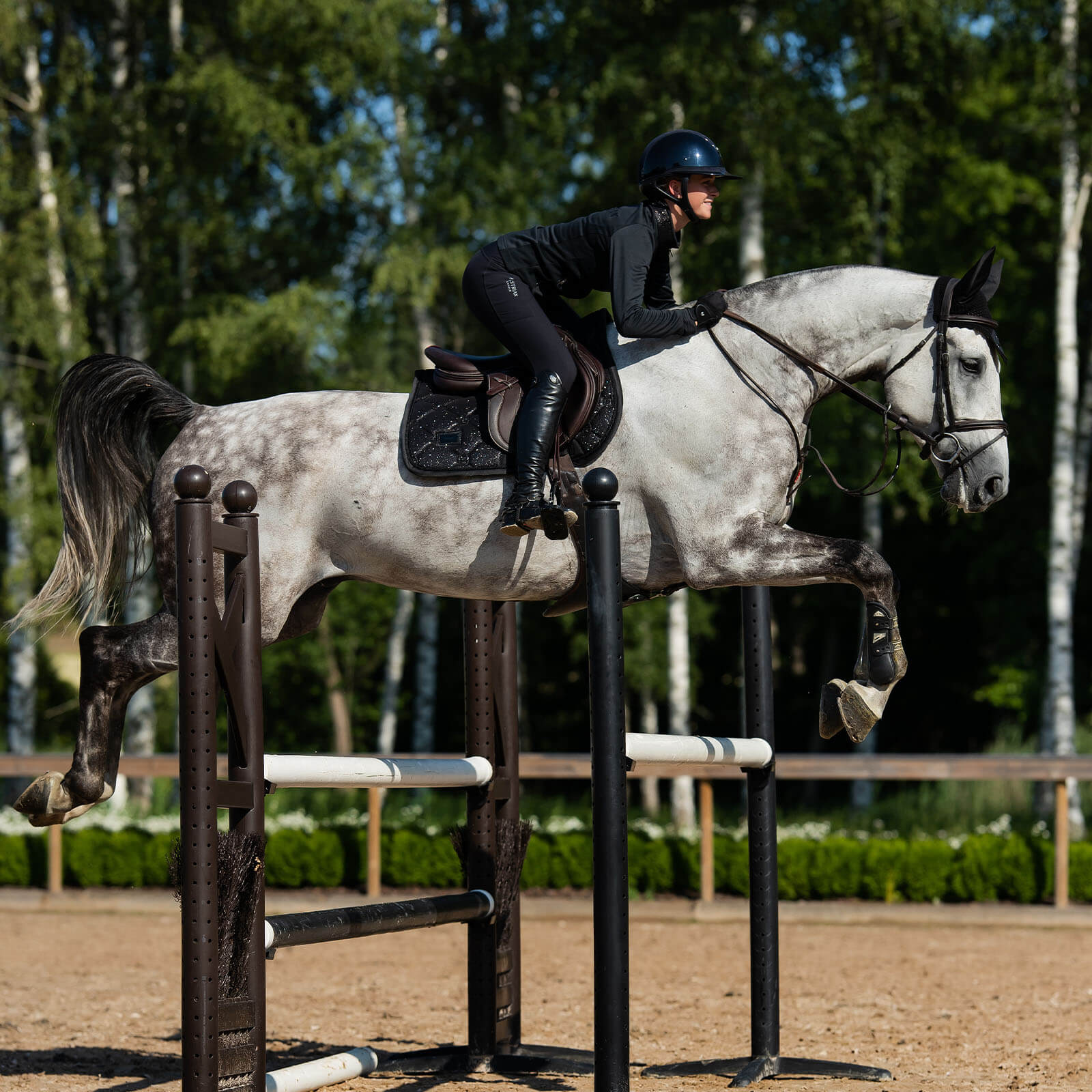 Springschabracke All Black Glimmer Schabracke