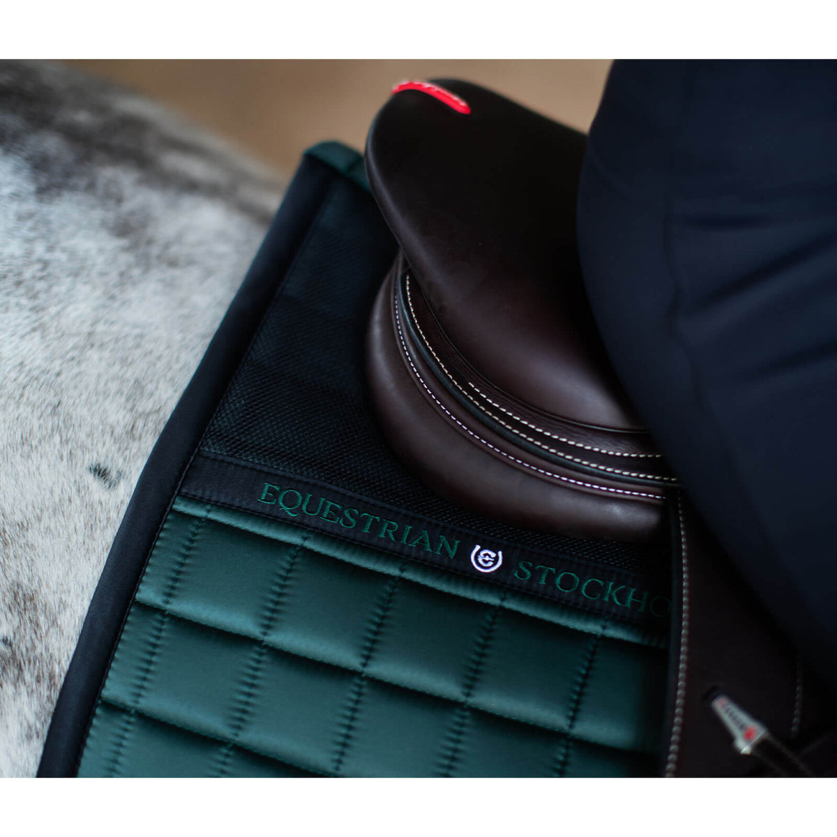 Equestrian Stockholm Schabracke Sportive Sycamore Green Springschabracke, Sycamore Green, unter dem Sattel am Pferd.