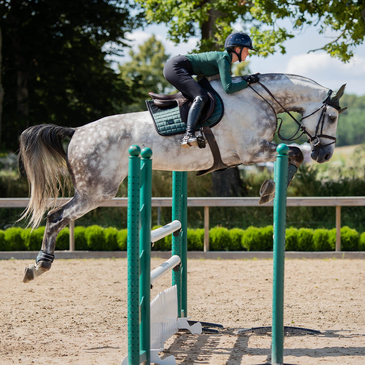 Schabracke Sportive Sycamore Green Springschabracke, Sycamore Green, Reiterin auf springendem Pferd im Parcours.