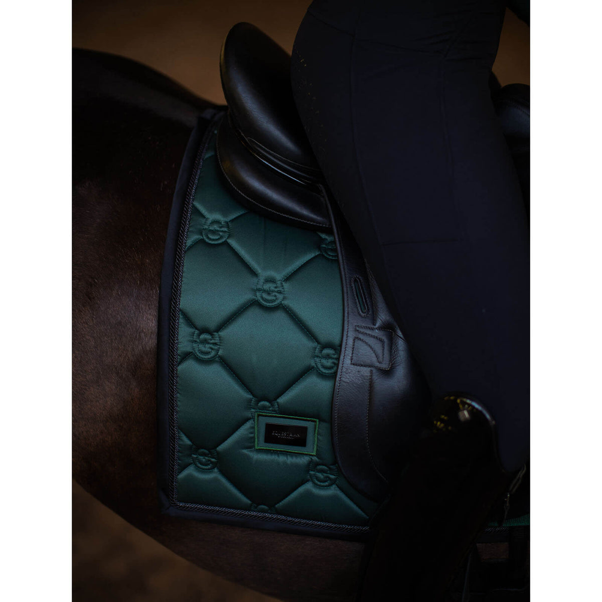 Equestrian Stockholm Schabracke Sycamore Green Dressurschabracke, Sycamore Green, Detailaufnahme am Pferd.