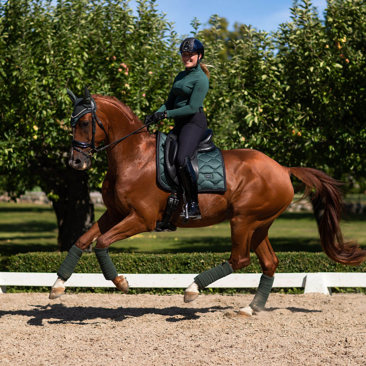 Equestrian Stockholm Schabracke Sycamore Green Dressurschabracke, Sycamore Green, Reiterin auf Pferd im Dressurtrab.