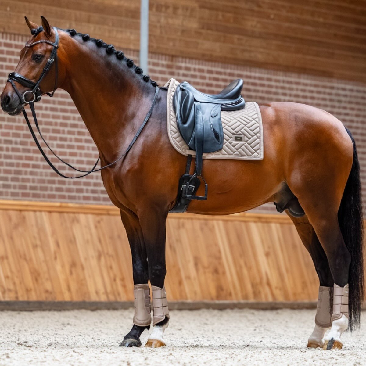 Dressurschabracke Modern Sand Kollektion Schabracke