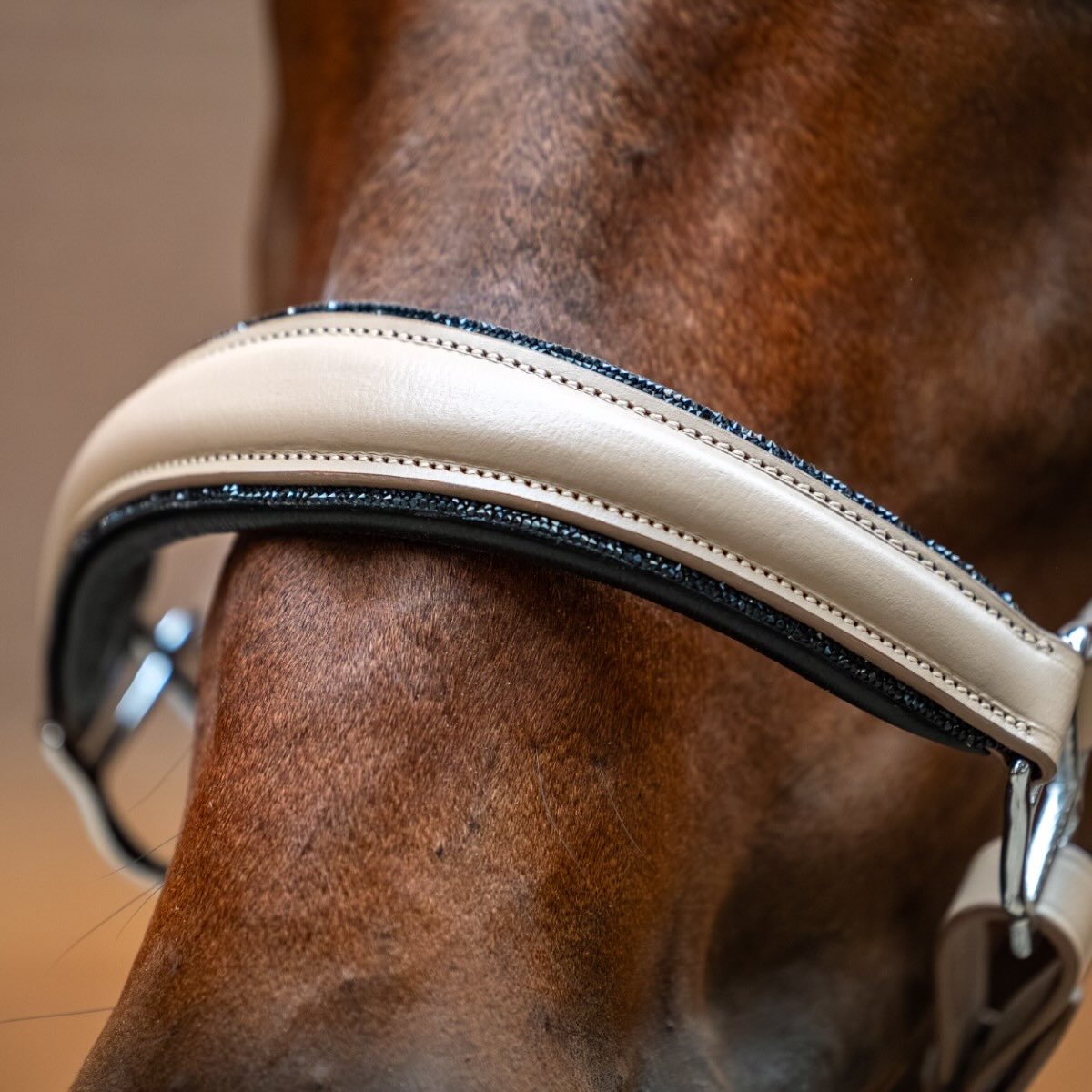 Halfter Glimmer Leather Anatomic Halter Sand