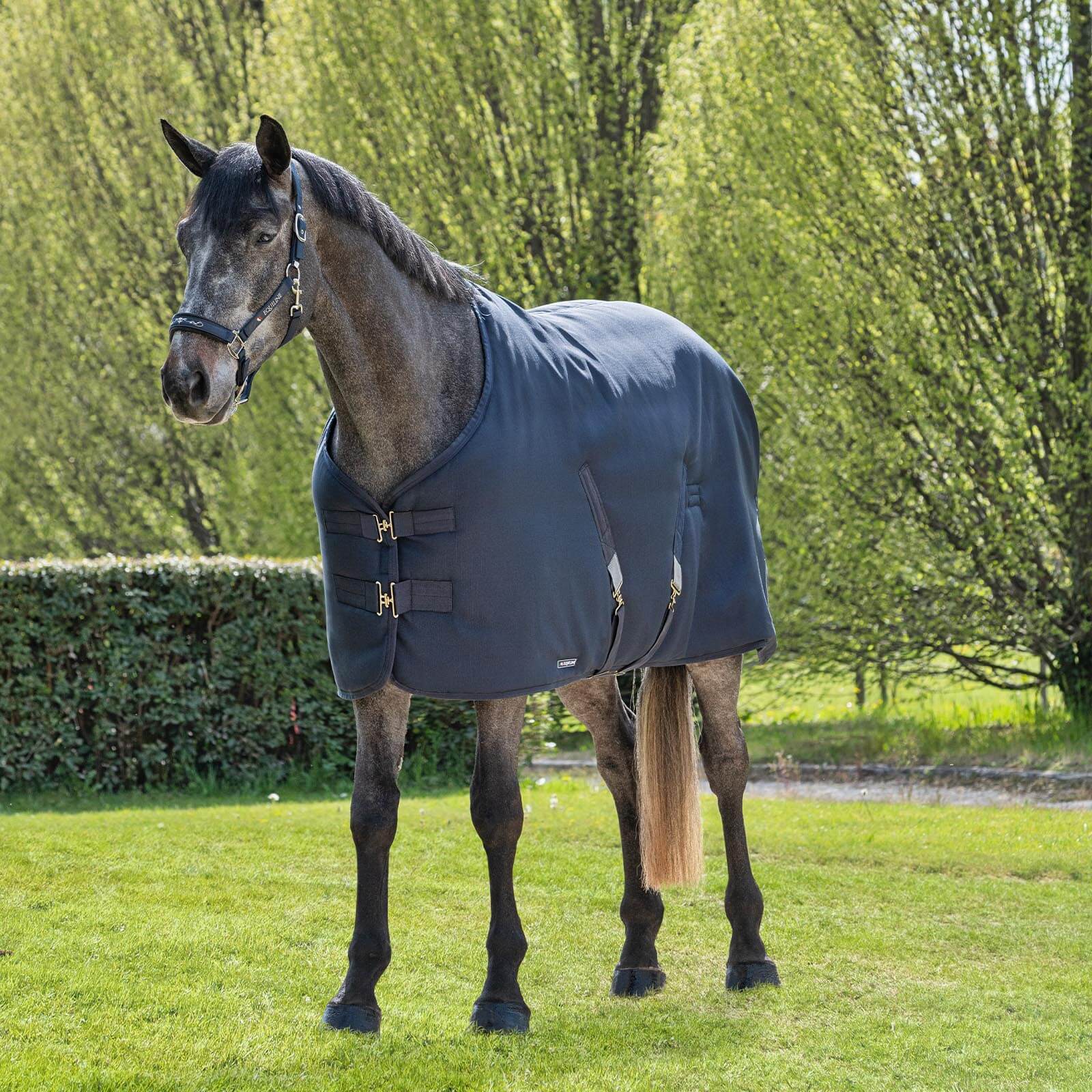 Stalldecke 200g AtlantaTransportdecke