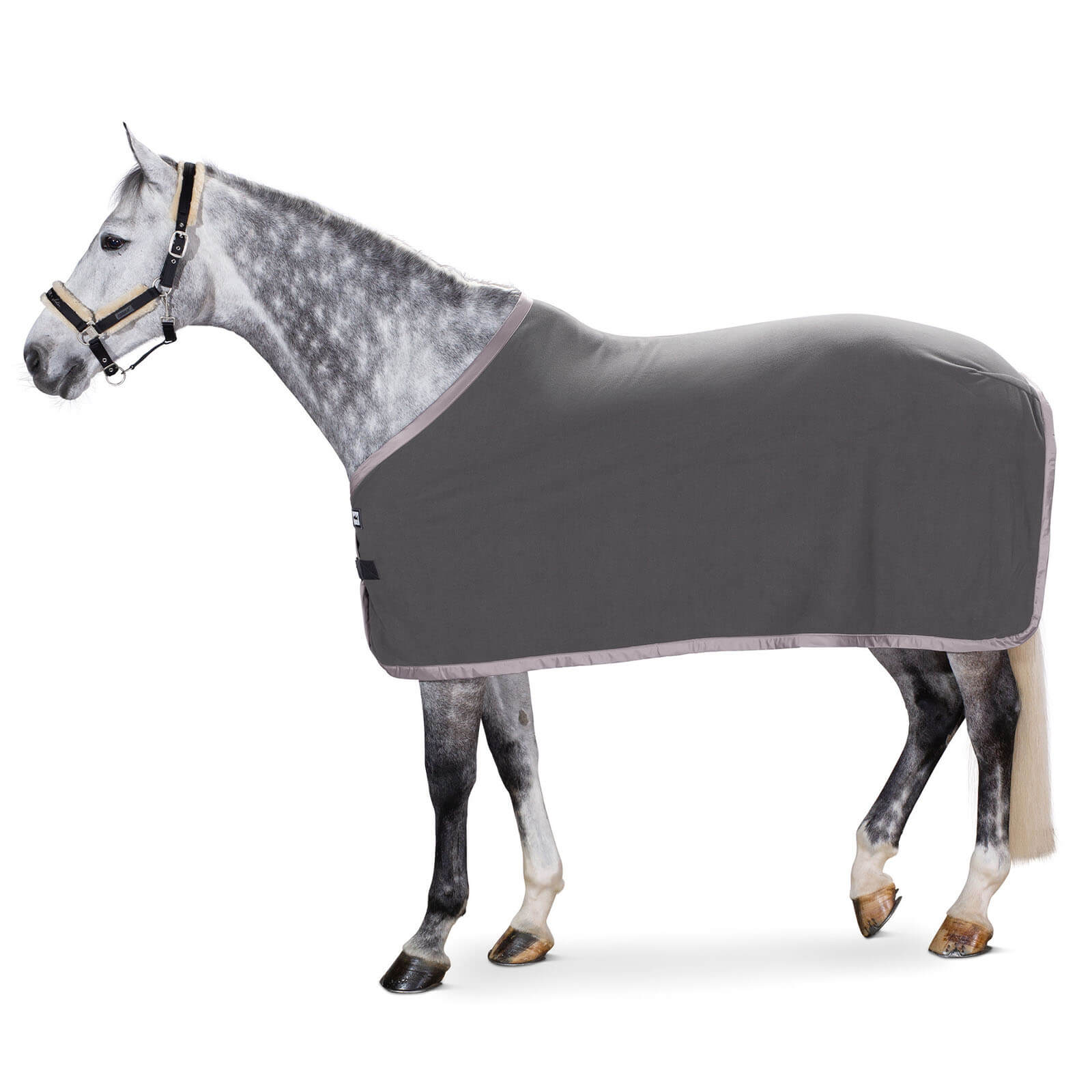 Abschwitzdecke Fleece Basics