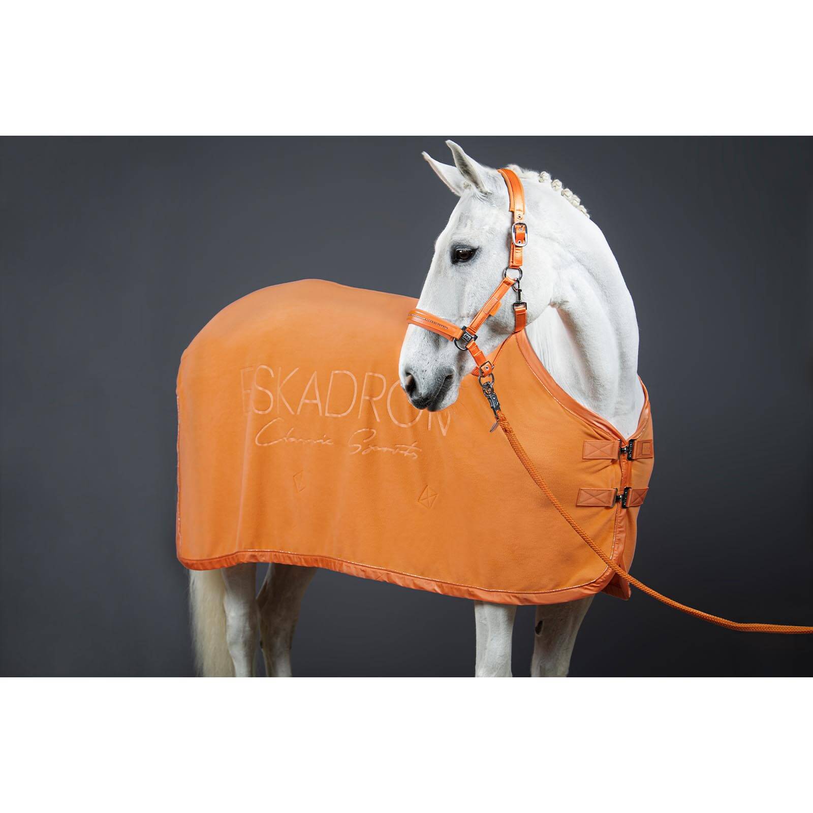 Abschwitzdecke Fleece Stamped Classic Sports FS 2022
