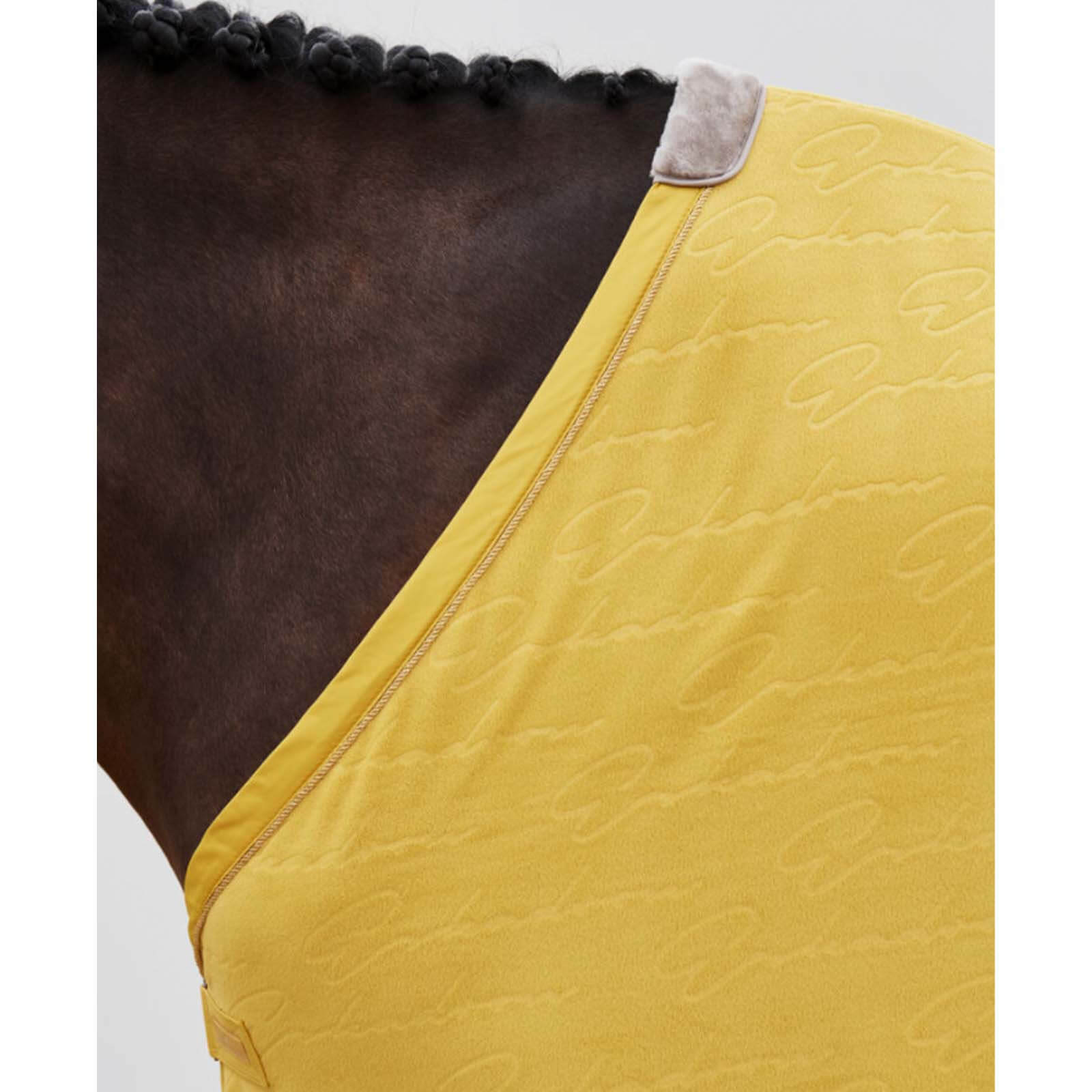 Abschwitzdecke Fleece Stamped Classic Sports HW 2021