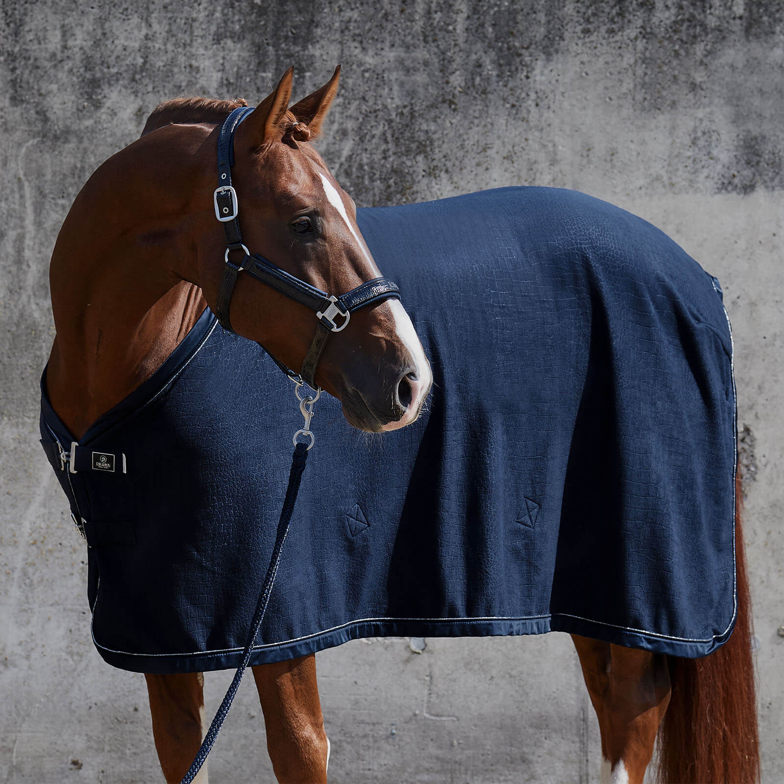 Abschwitzdecke Fleece Stamped Platinum 2022