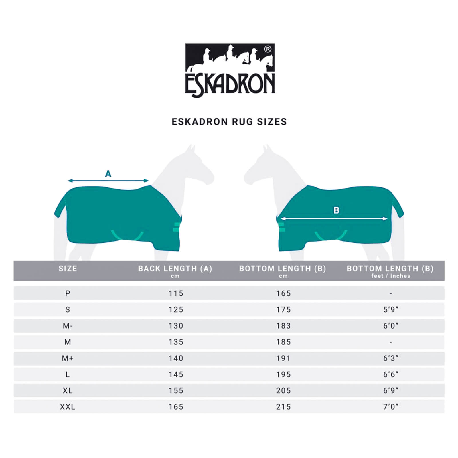 Fliegendecke Pro Cover Dura Basics Fliegenausreitdecke Pferdedecke