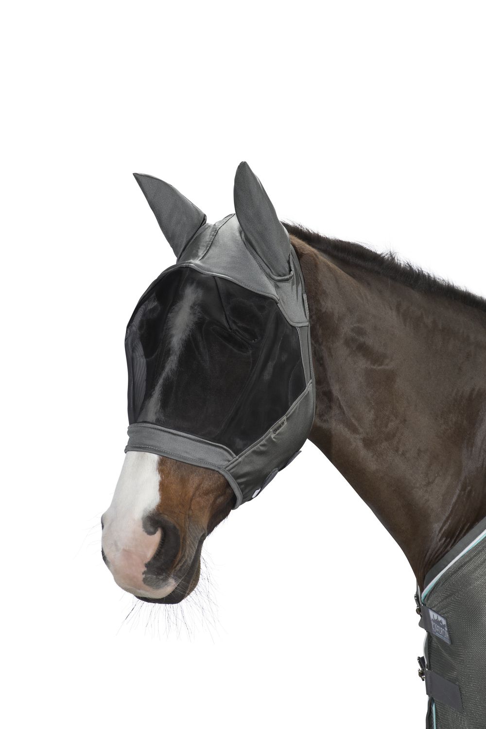 Fliegenmaske Fly Mask Basics