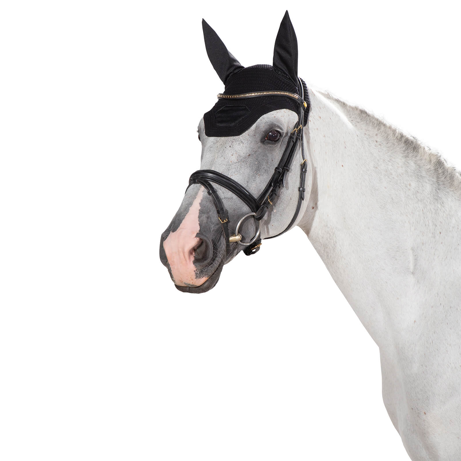 Fliegenohren Sport Mute