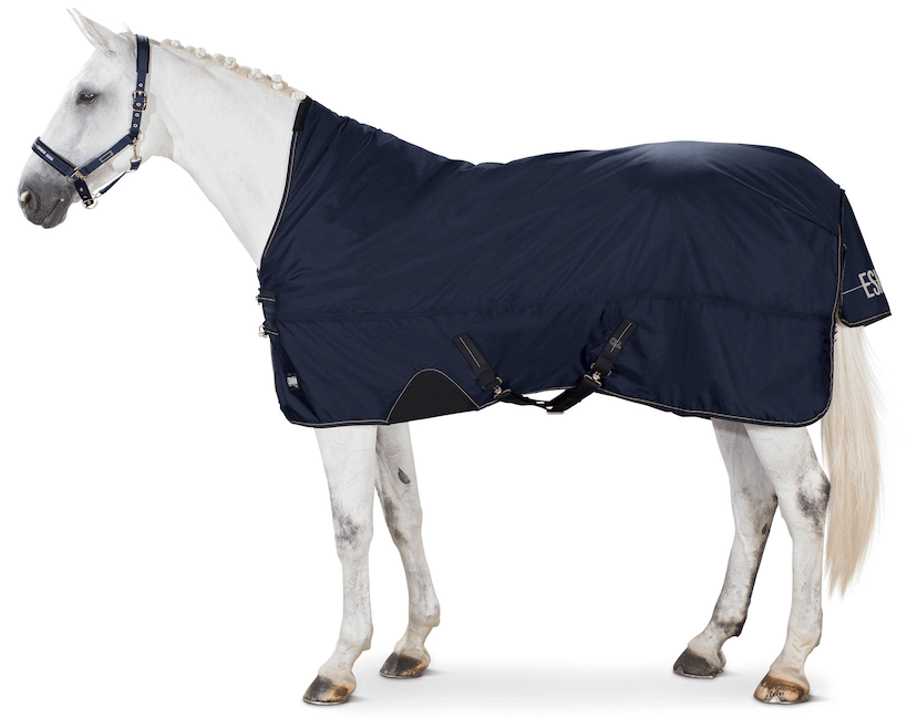 Outdoordecke 80g Beta Basics Weidedecke, Navy, Pferd trägt die Decke.