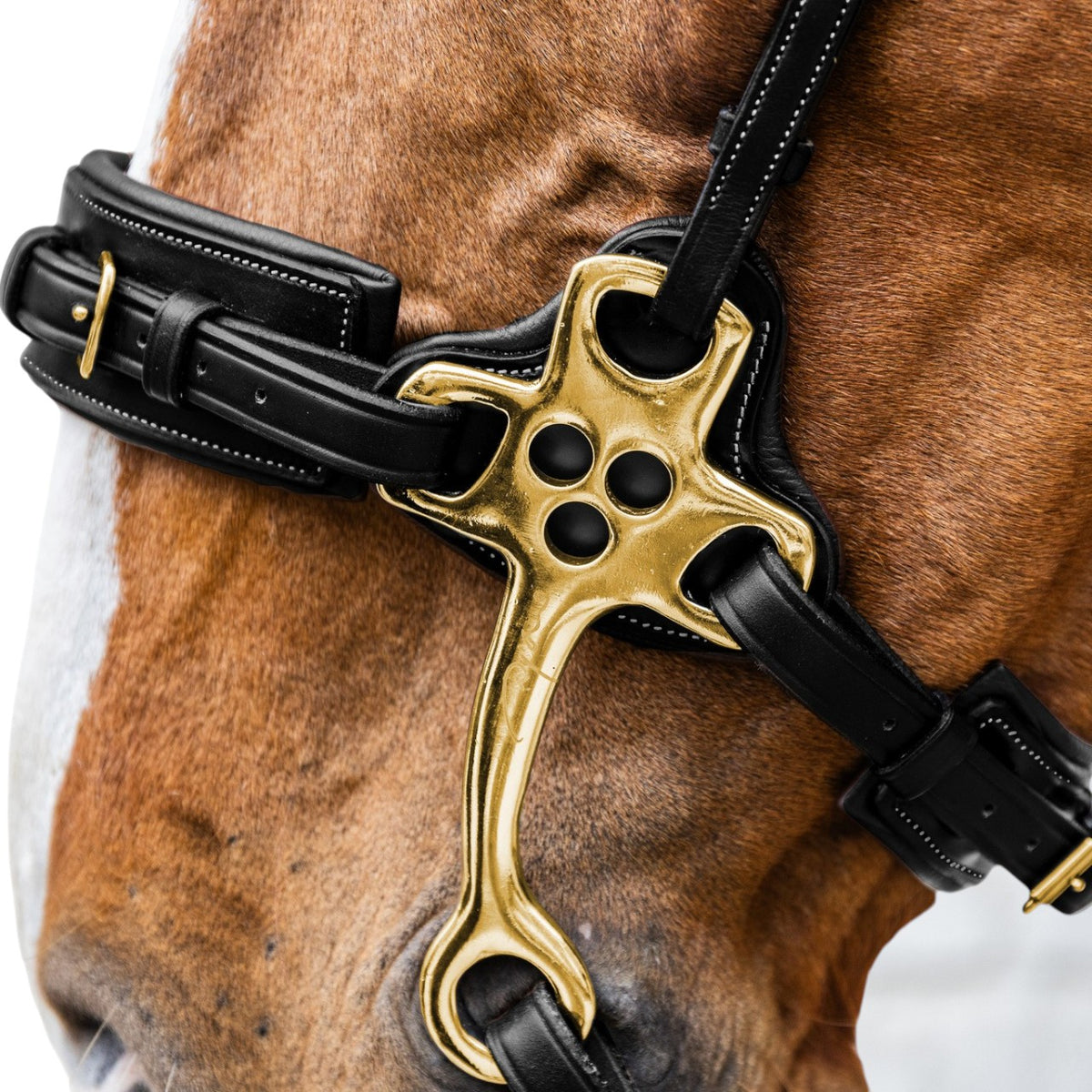 Nasenriemen Hackamore