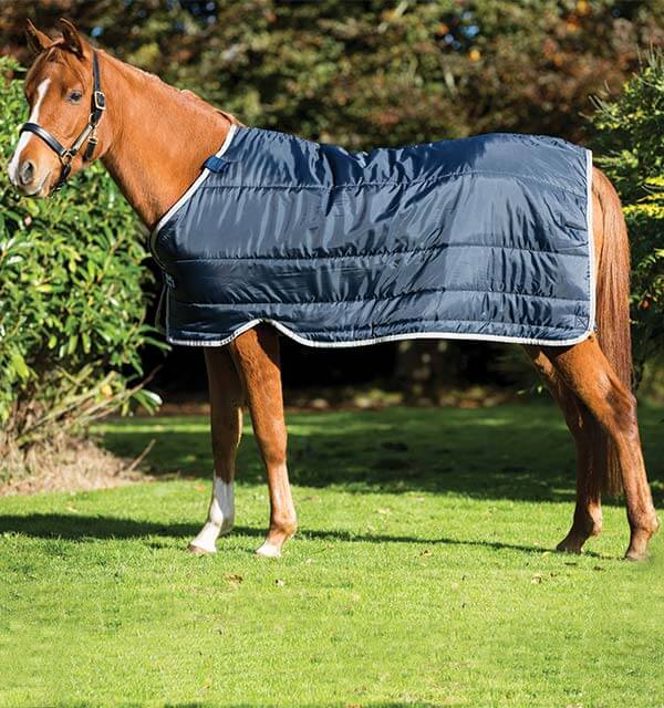 Horseware Ireland Unterdecke 200g Liner, Marineblau, Pferd trägt Unterdecke im Garten.