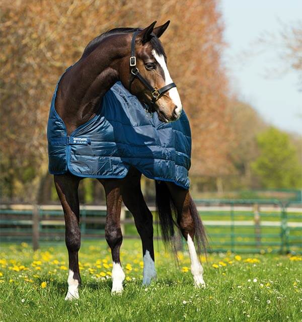Horseware Ireland Unterdecke 200g Liner, Navy/Navy, Pferd trägt die Unterdecke auf der Weide.