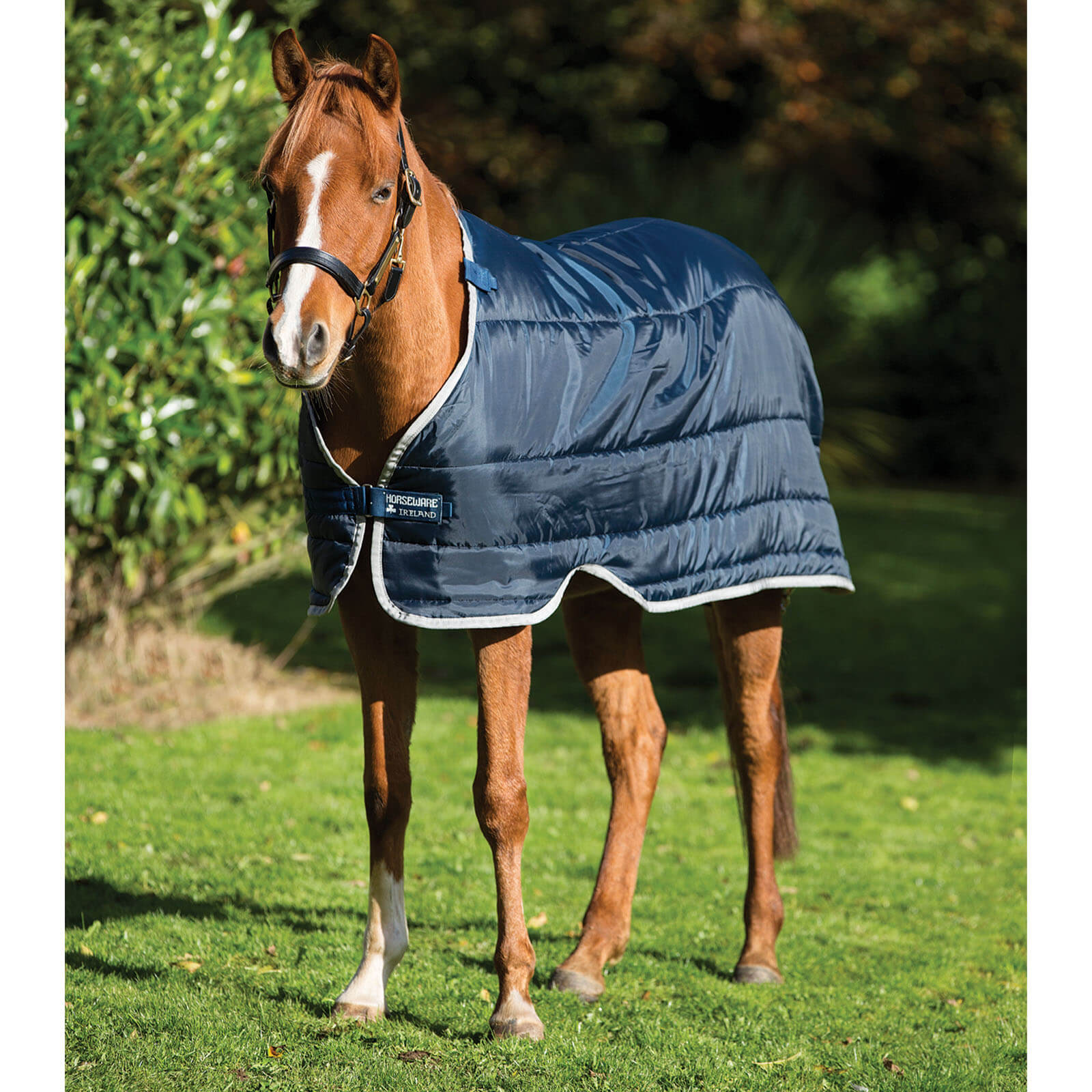 Unterdecke 100g Pony Liner