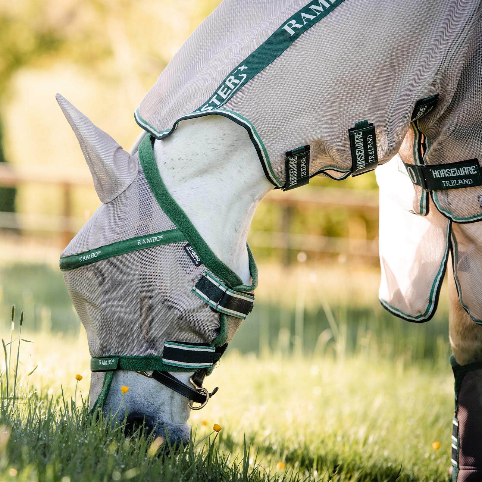 Fliegenmaske Rambo Flymask Plus