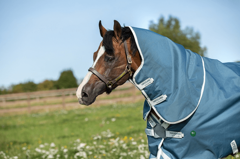 Outdoordecke 100g Amigo AmEco Bravo 12 Plus Turnout