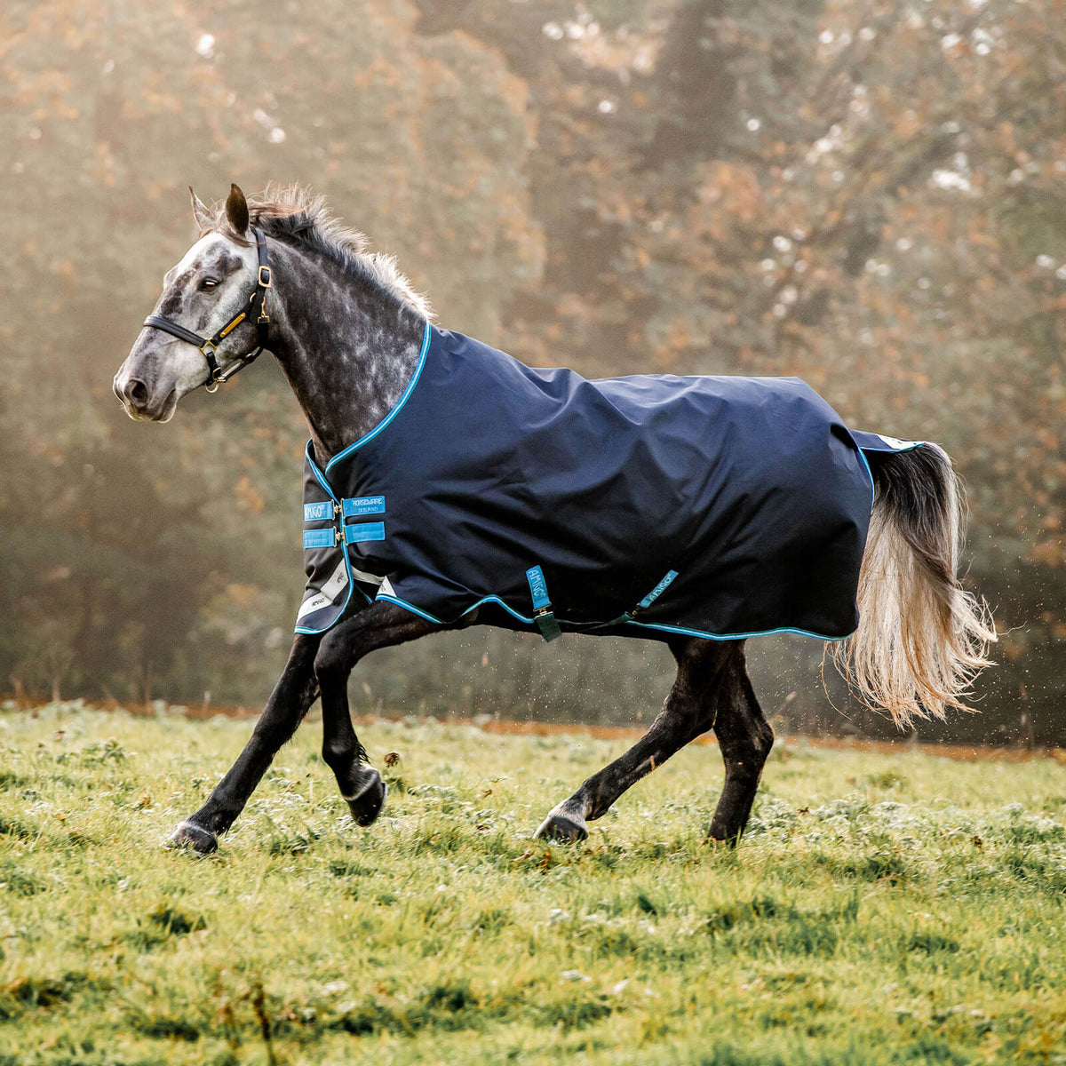 Outdoordecke 50g Amigo Bravo 12 Turn Out Weidedecke
