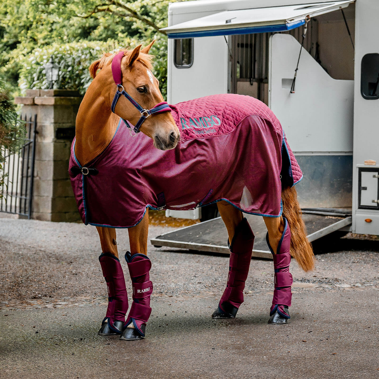 Transportdecke 0g Rambo Travel Series Abschwitzdecke