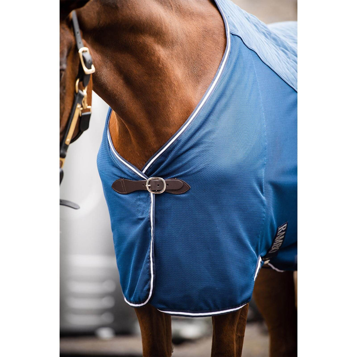 Transportdecke 0g Rambo Travel Series Abschwitzdecke, Blau, am Pferd getragen.