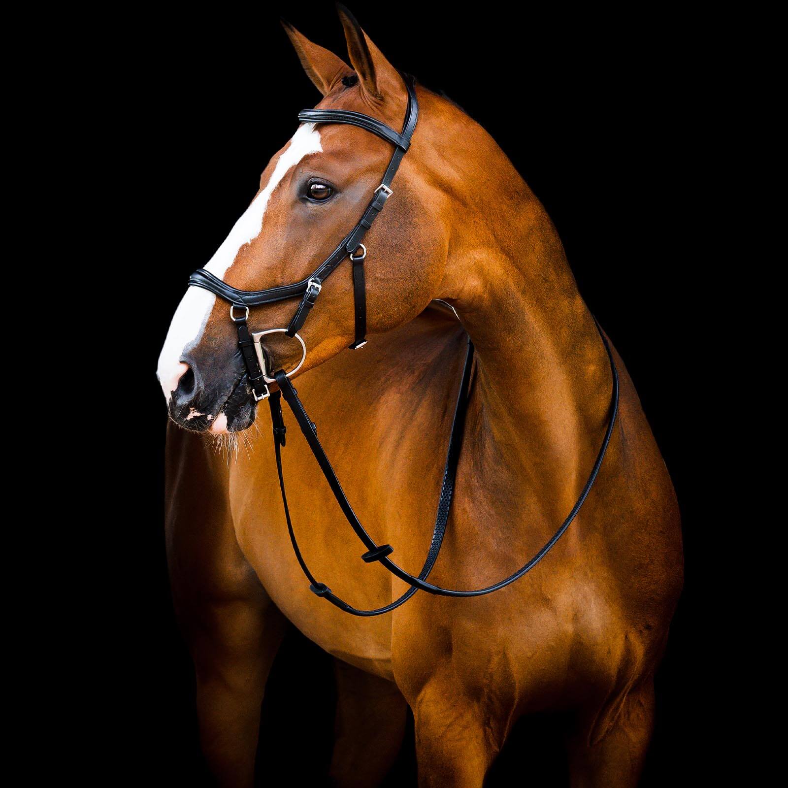Trense Micklem 2 Deluxe Competition Bridle Micklemtrense