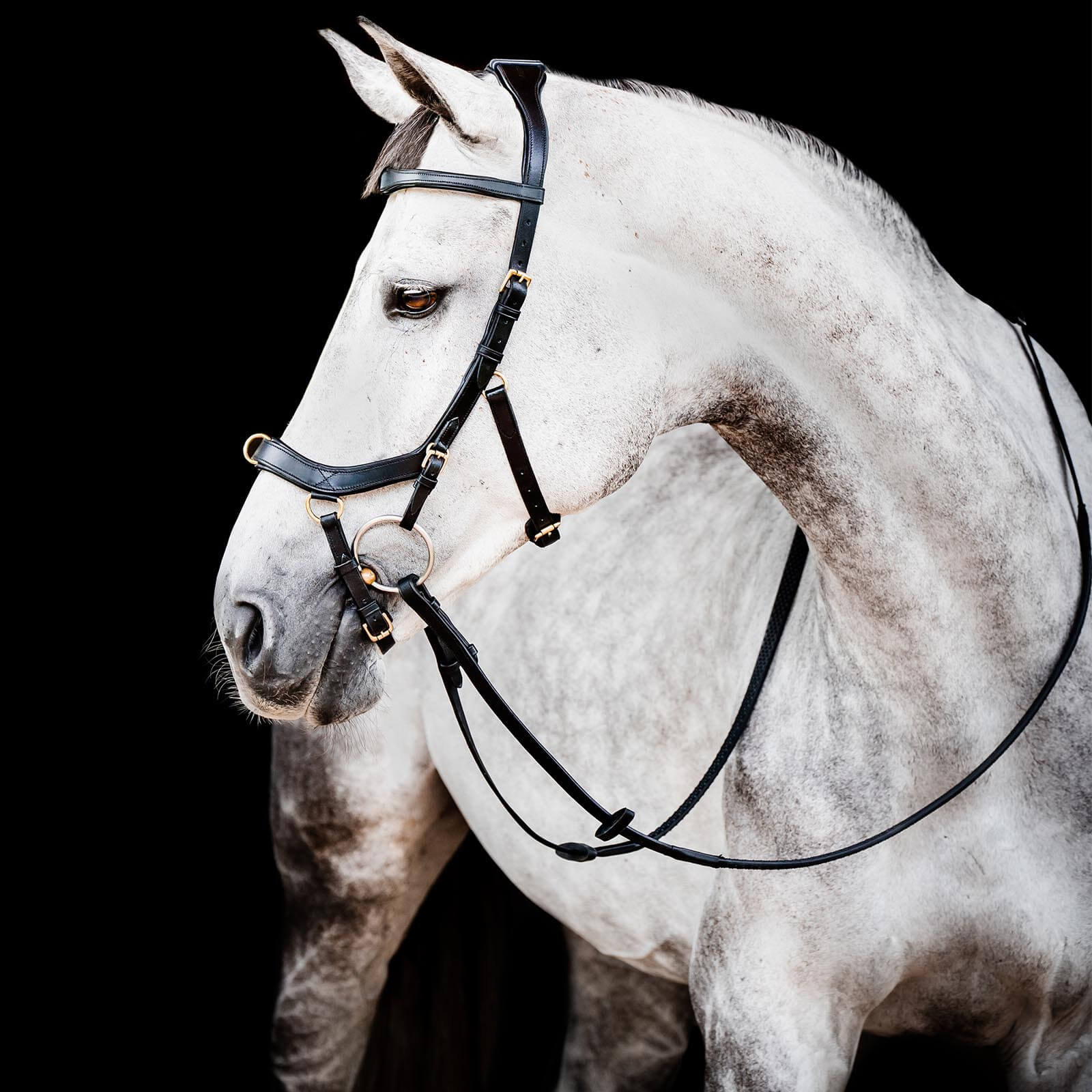 Trense Micklem 2 Multi Bridle Micklemtrense