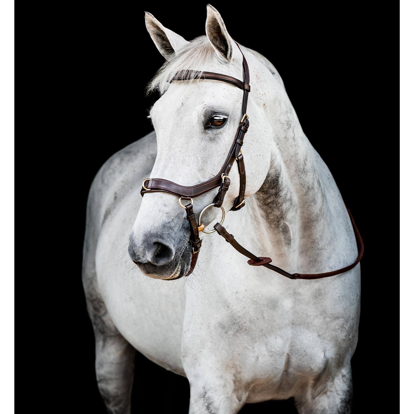 Trense Micklem 2 Multi Bridle Micklemtrense