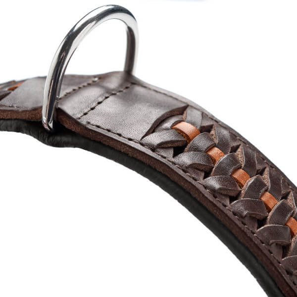 Halsband Solid Education Exclusive Hundehalsband
