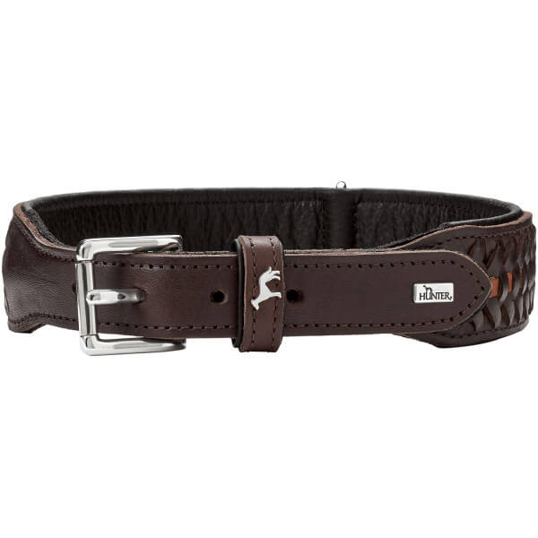 Halsband Solid Education Exclusive Hundehalsband