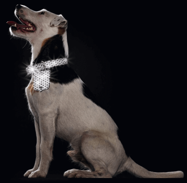 Hundehalsband Hella Reflect