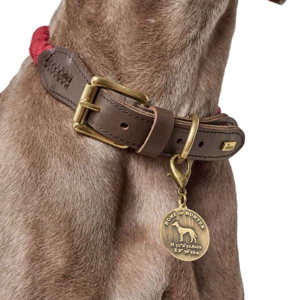 Hundehalsband List Halsband